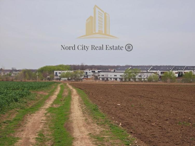 Teren Tunari - Loturi Tunari- 12.000 mp - 3