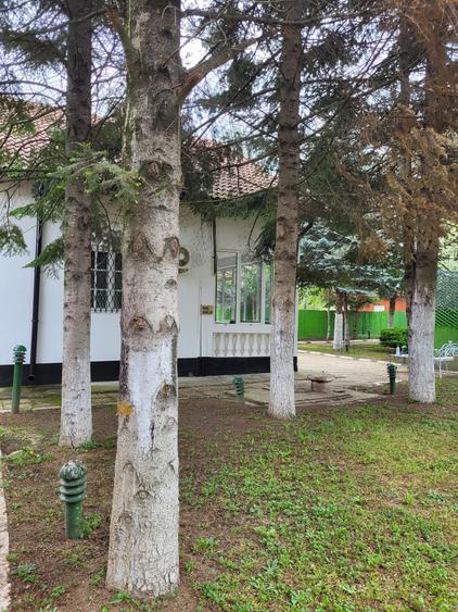 Refugiul tău verde, aproape de oraș la Snagov - 11