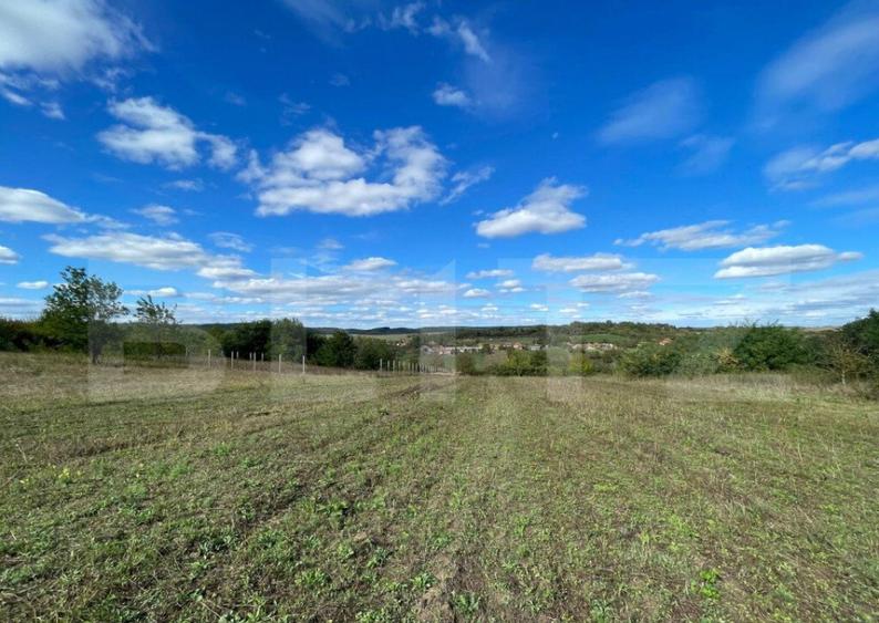 De Vanzare - Teren Intravilan, Localitatea Sumugiu - 4