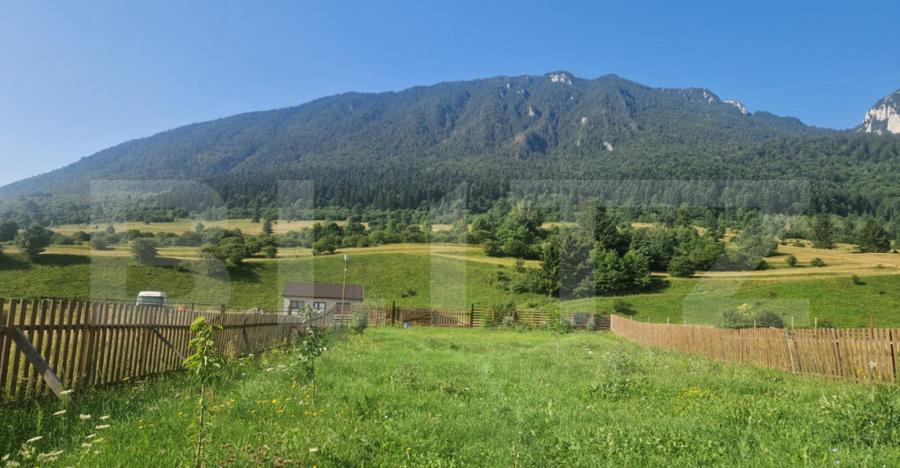 Teren Plaiul Foii, vedere spre muntii Bucegi si apa Barsa 10 - 10