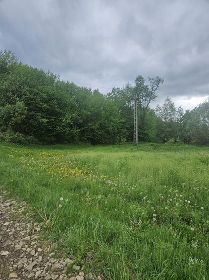 Teren de vanzare Poiana Zgurii, Rodna - 2