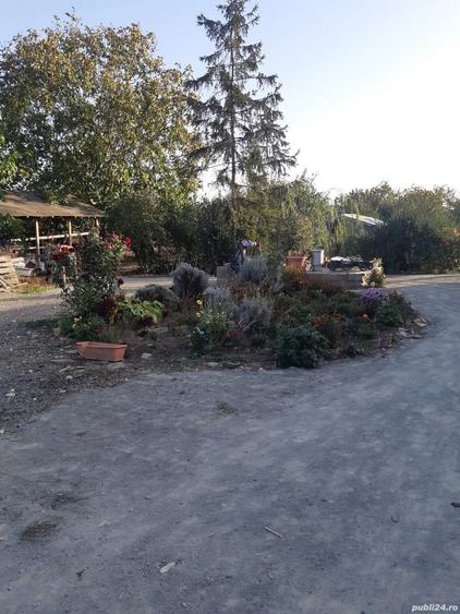 Casa si teren 1750 mp in Nuntasi, Istria - 5