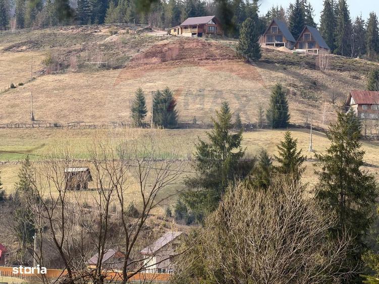 Teren de vanzare in inima Apusenilor 6.500 mp Arieseni - 10