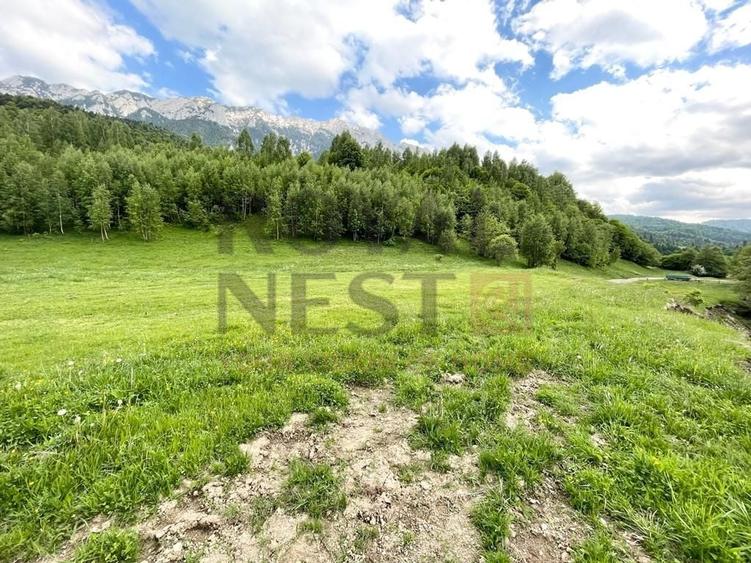 COMISION 0%! Teren superb la Plaiul Foii, pe malul Barsei - 3