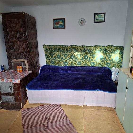 Casa batrineasca de vinzare - 7