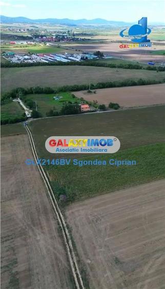 Teren De Vanzare Feldioara Utilitati In Apropiere - 4