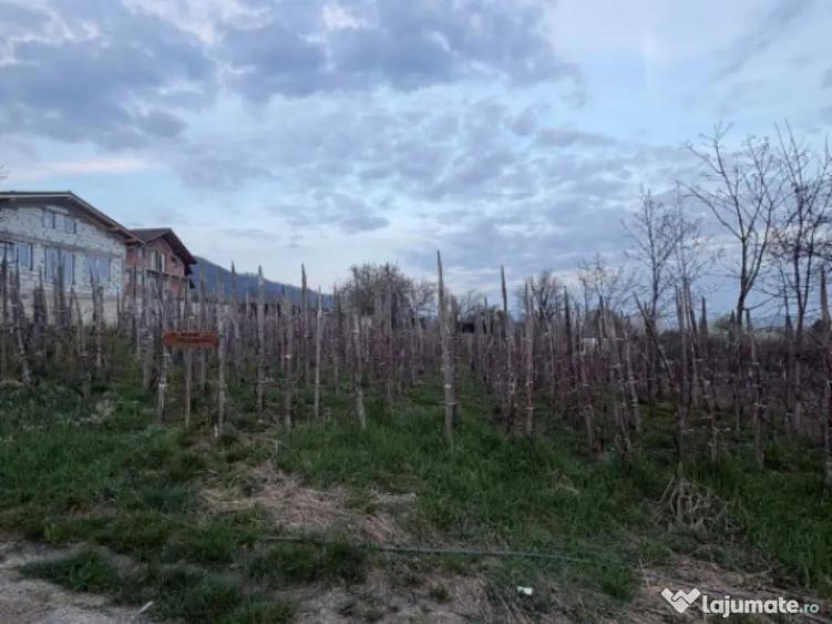 Teren de vanzare, 600 mp, zona Independentei - 4