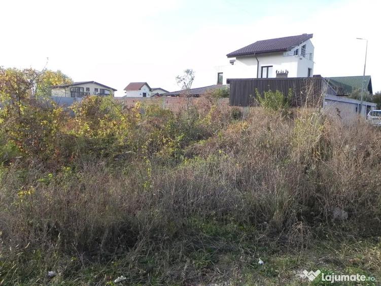 Teren intravilan -pozitie deosebita-langa padure-Domnesti-Teghes 518mp - 4