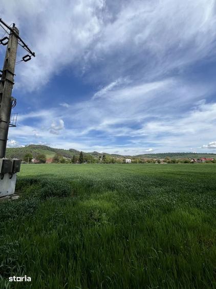 Vand teren Zarne?ti/Brasov - 4