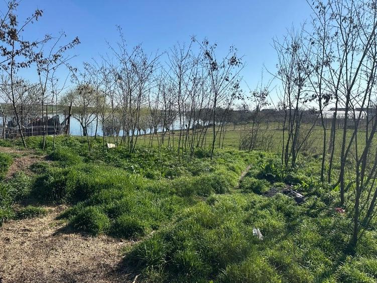 Vand 784mp teren in intravilanul comunei Butimanu - 3