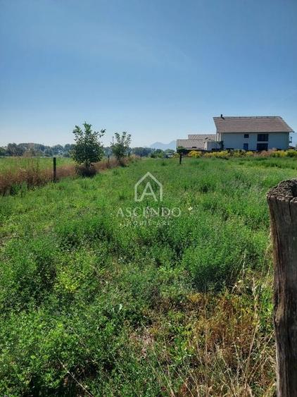 Vanzare teren intravilan 867 mp, Cartierul Stupini, Brașov - 2