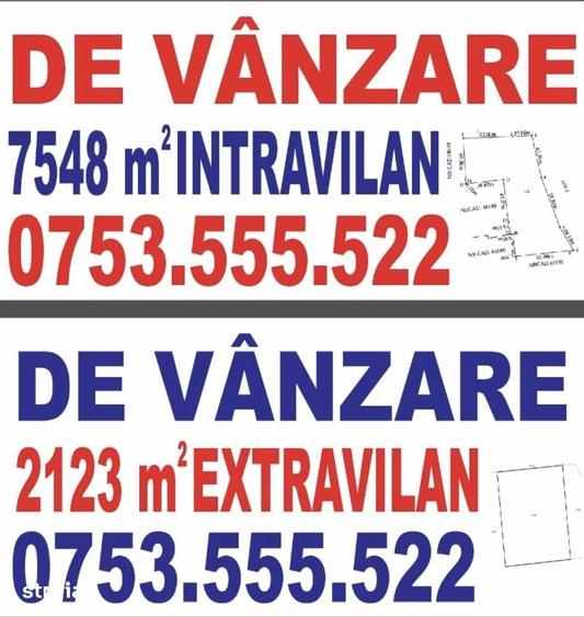 TEREN INTRAVILAN 7.548 mp + 2.123 mp EXTRAVILAN CADOU - LOGRESTI, GORJ - 3