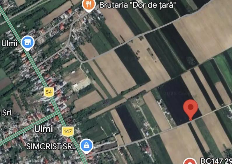Teren intravilan case 10.000 mp, Str Sportului, Ulmi - 2