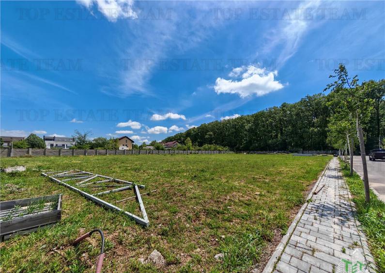 Teren constructii in proximitatea Padurii Corbeanca - 3