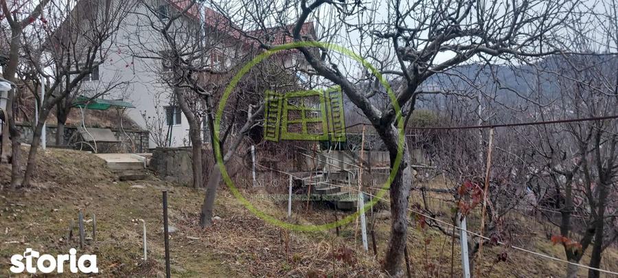 Proprietate completa in Cerasu, Prahova spatiu, confort si potent - 5