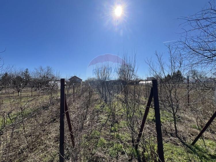 Oferta! Vand casa pe teren mare la pret excelent - Gruiu IF - 5