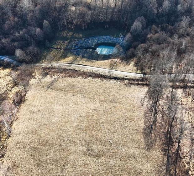 Teren pasune si padure 2,4ha - 5