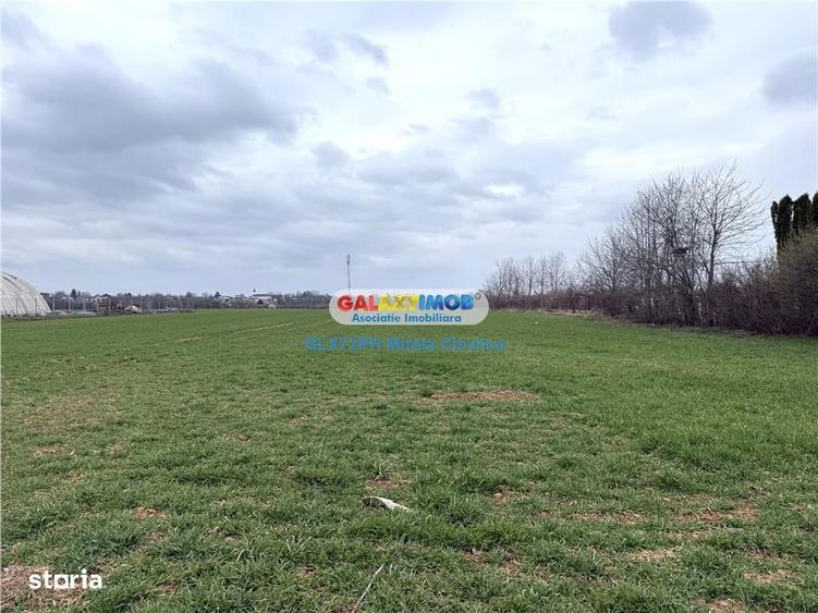 Vanzare teren intravilan Baicoi zona Ciresi - 5