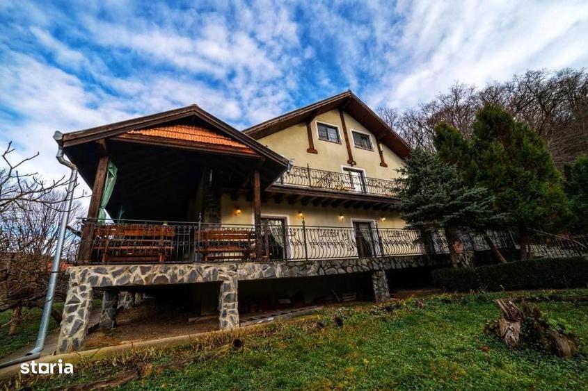 Domeniu turistic complet, pensiune 4 margarete, in functiune - 1