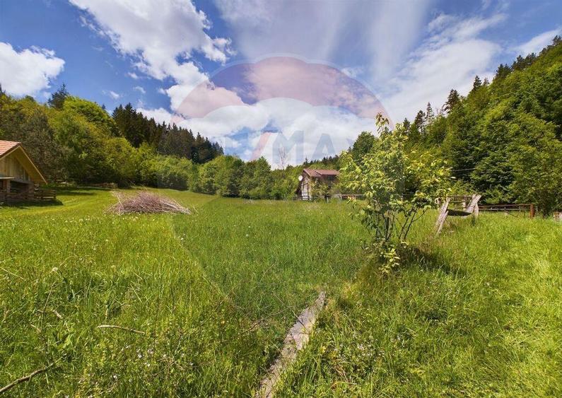 Comision 0%! Proprietate in natura, priveliste superba, S... - 4