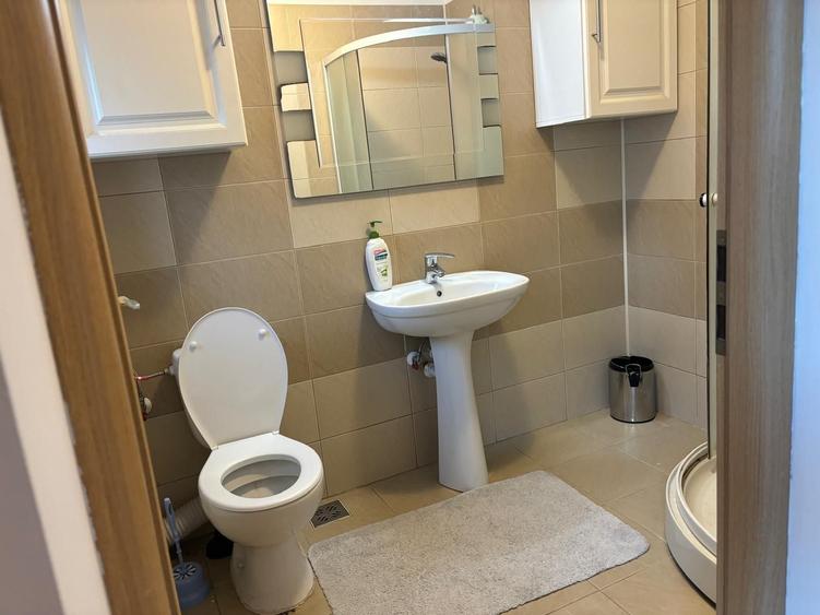 Casa cu 5 camere in zona Nicolina - T. Neculai - 10