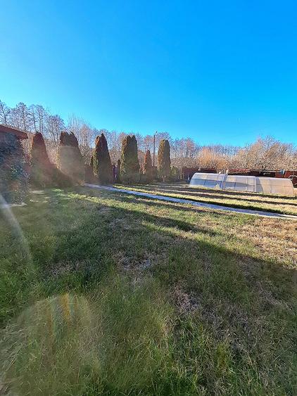 Casă Budești – potrivită pentru familie, curte și spații generoase - 7