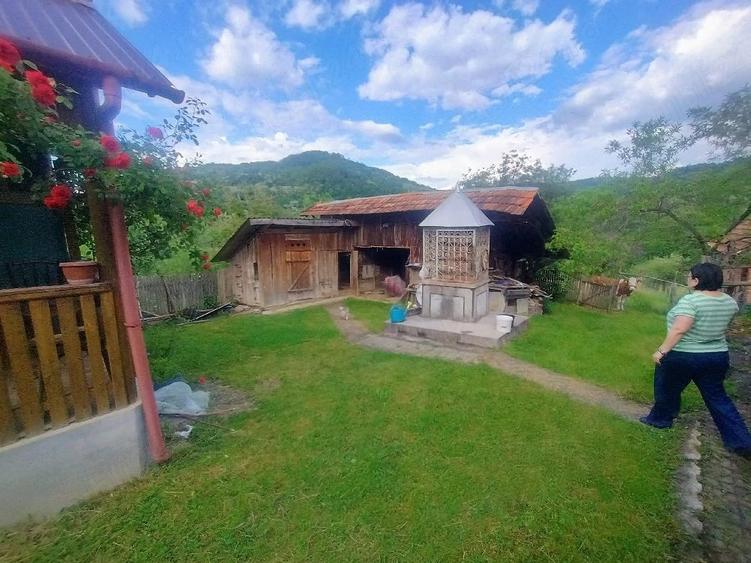 Casa situata la munte, aproape de muntele Gaina in Apuseni, in judetul Arad - 3