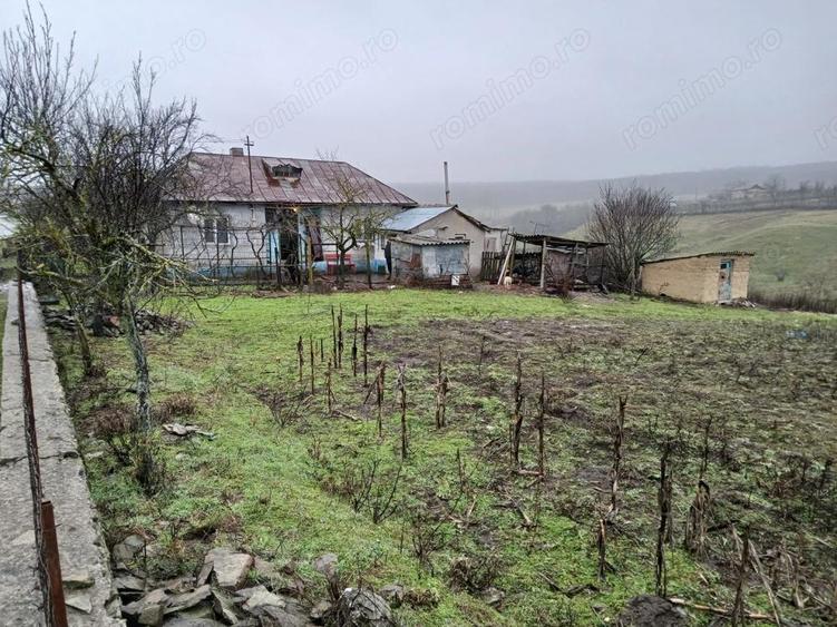 Casă cu Teren 3170 Mp în Cerbu