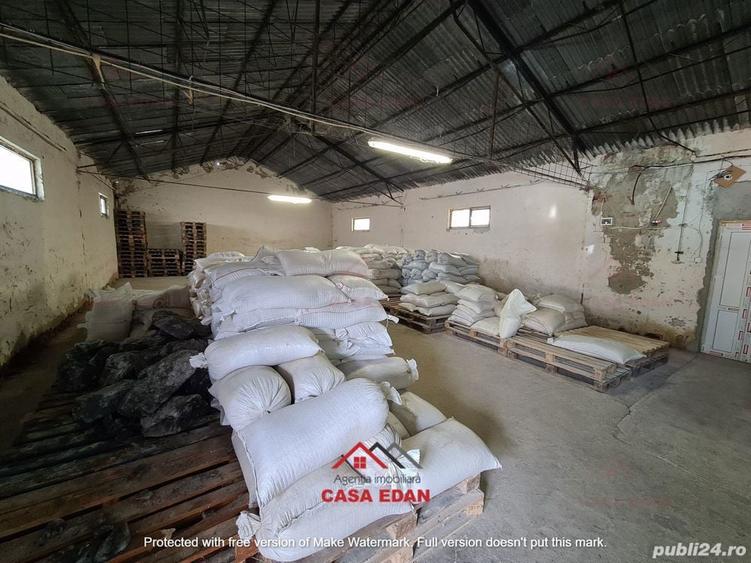 Hala in Campina--280 mp--800e - 3