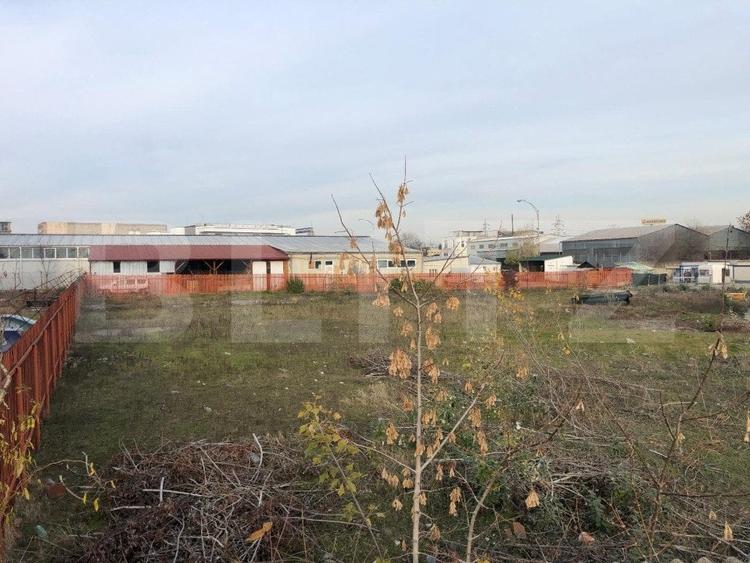 Teren intravilan de 2.195 mp, toate utilitatile, Valea Rosie - 5