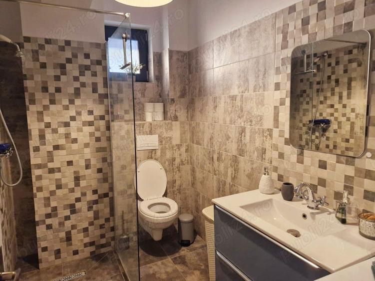 STUDIO de inchiriat zona General Magheru, Centru Valea Rosie - 2