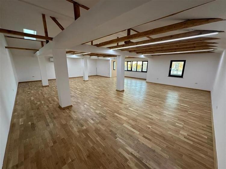 Spatiu de inchiriat - deschidere la E85 - Nicolae Balcescu - 7