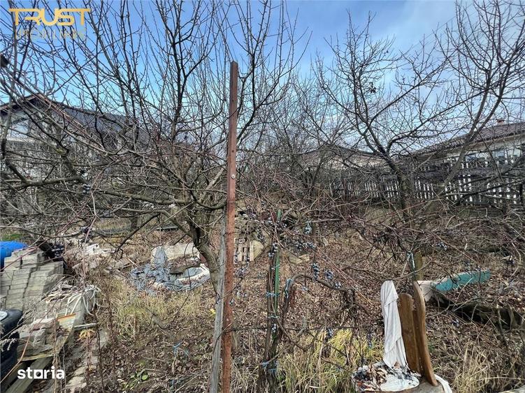 Teren intravilan 1000 mp Liniste, spatiu si ince - 2