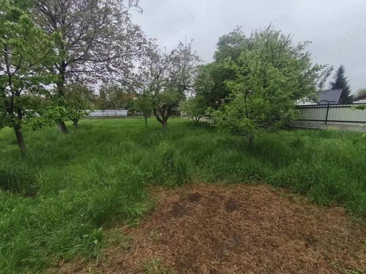 Casa + teren 1767 mp, zona Horea, Radauti - 3