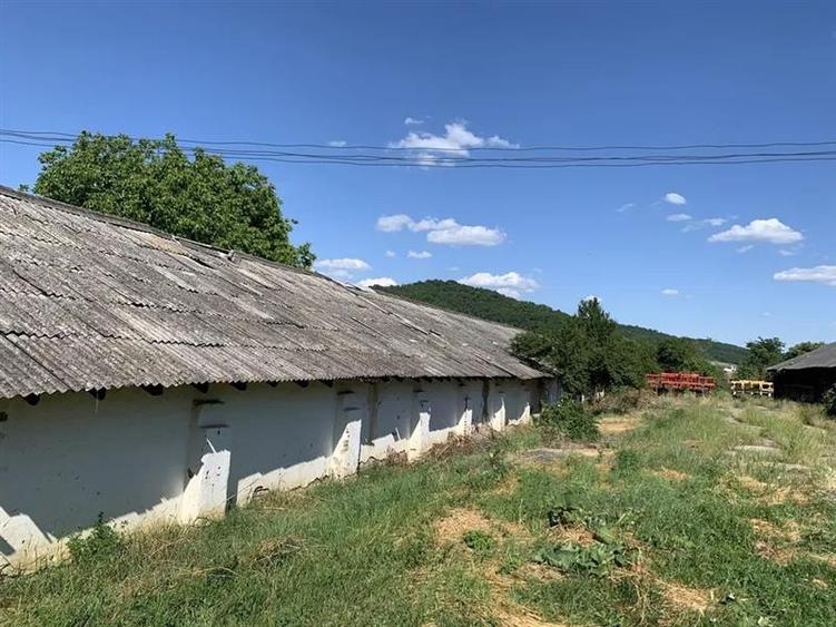 Spatiu Industrial multifunctional: productie, depozitare,logistica, Raciu, Mures - 1