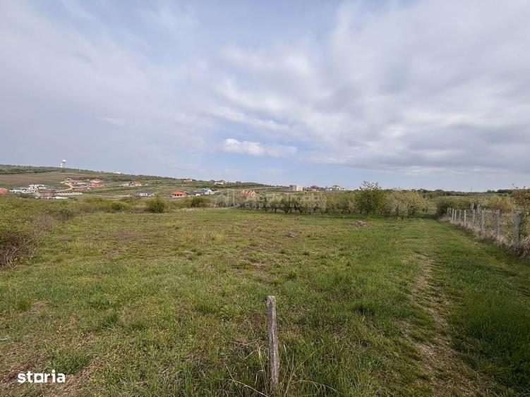 Teren pe colt in Paleu 800 mp ideali pentru casa ta intr-o zona lini - 5