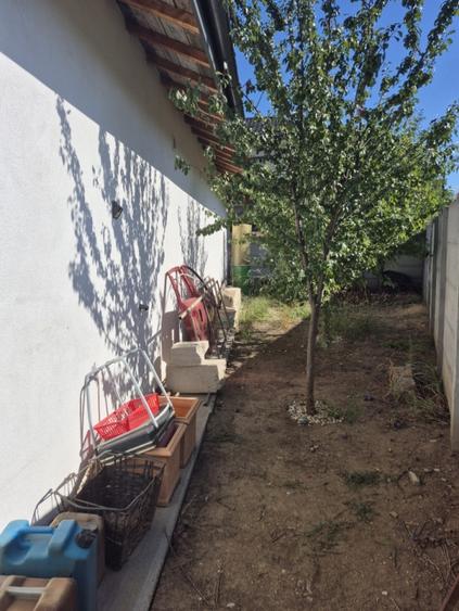 Casa individuala parter, Domnesti, zona Craitei-Foisorului. Investitie buna. - 4