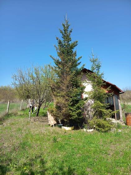 Vand teren intravilan cu cabana in comuna Sandulesti - 1