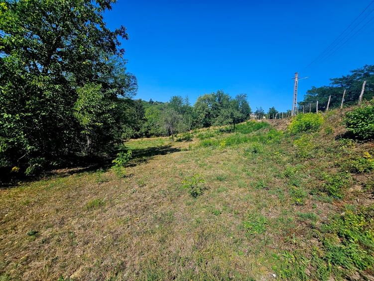 Teren intravilan 2322 mp, Păcuri – vedere superbă spre pădure! - 11