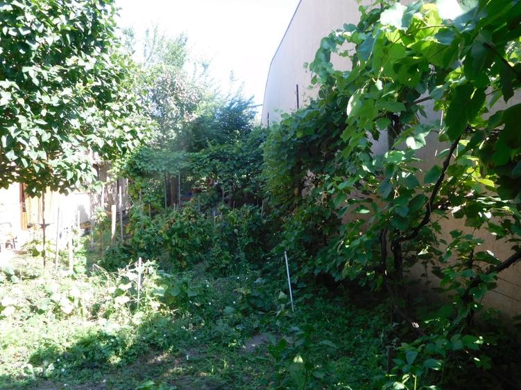 Vanzare casa individuala + teren in cart Iris - 7