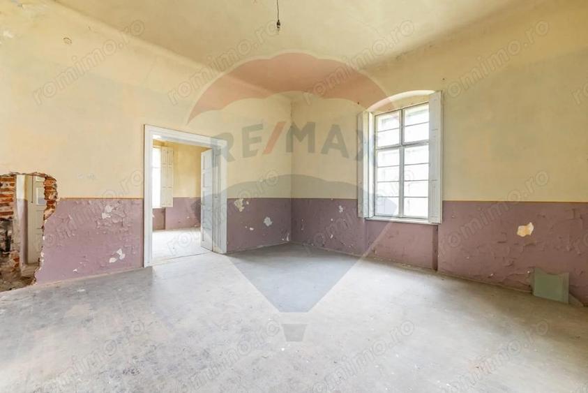 Conac aristocratic secolul XIX , domeniu 2,5 hectare Pauli?, Arad - 8