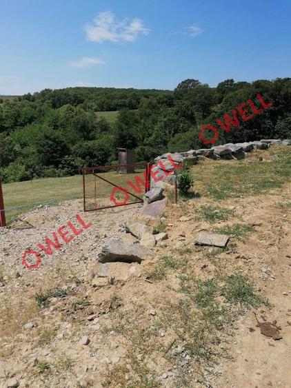 Teren intravilan de vânzare în Calnic! - 2