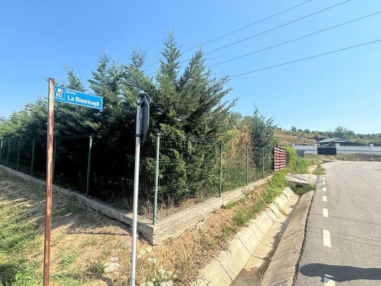 Teren Calimanesti 8//mp - 7