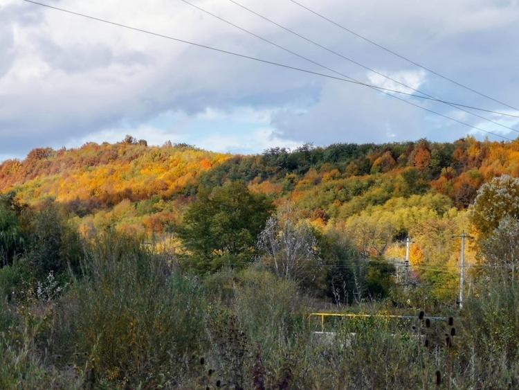 Bughea de Jos, Curte 1512/3025mp, 5 min Valeni PH - 11