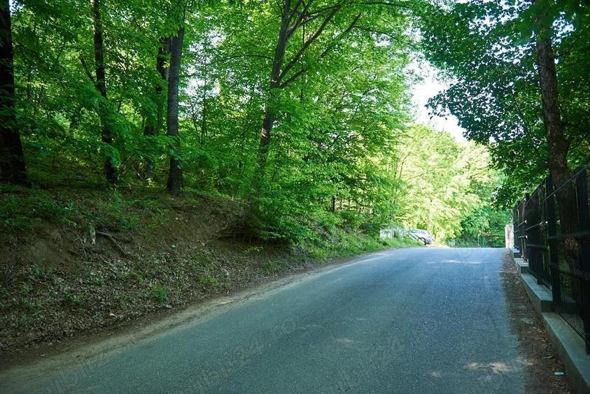 Vand teren 5000 mp, Schitul Tarata, Iasi - 1