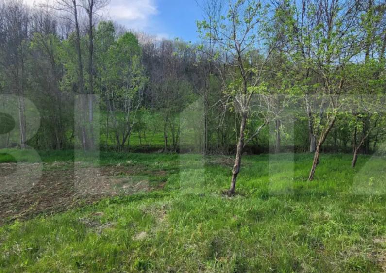 Teren 6650 mp, cu casa nefinalizata de 111 mp, in Nisipoasa - 1