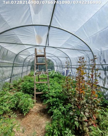 Casa situata in Samarinesti, sat Valea Bisericii - 10