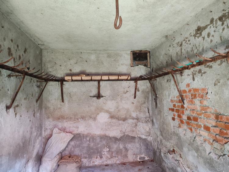 Casa 3 camere libera la vanzare TARLUNGENI - 23