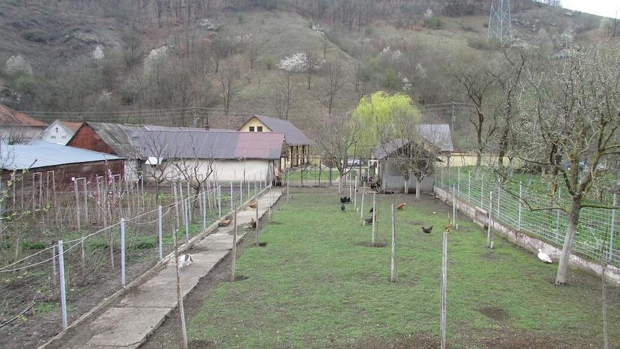 Gospodarie-4 cladiri-teren 2900mp-zona Vetel - 2