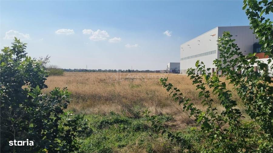 Teren 25000 la 4 benzi deschidere 70m - 3